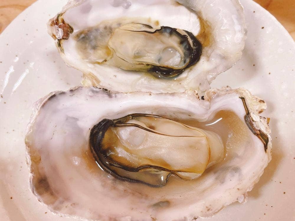 中島アグリサービス 可