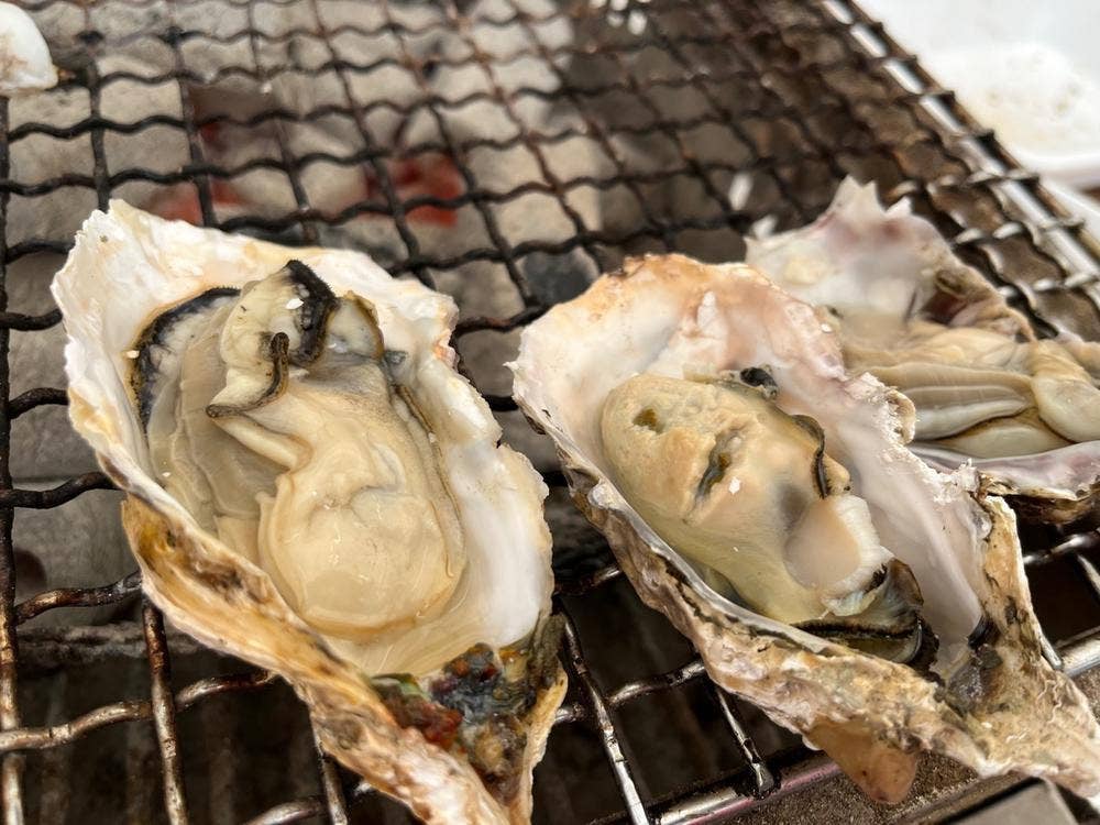 カキハウス マルハチ