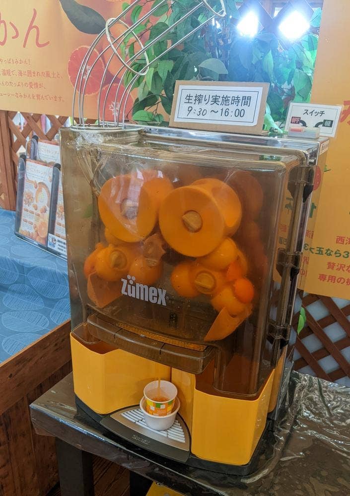 道の駅さいかい みかんドーム
