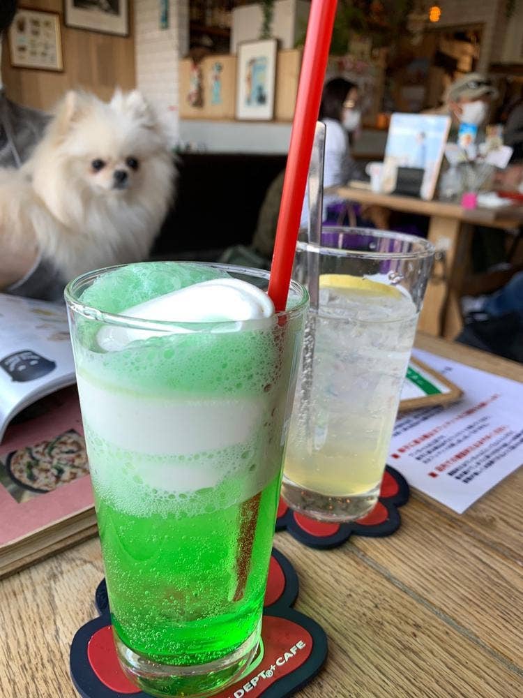 DOG DEPT +CAFE 浅草 隅田川テラス店