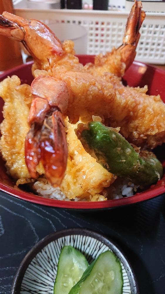 わらじの樹