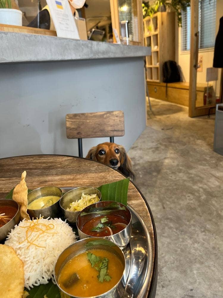 THE ENTRANCE YUIGAHAMA