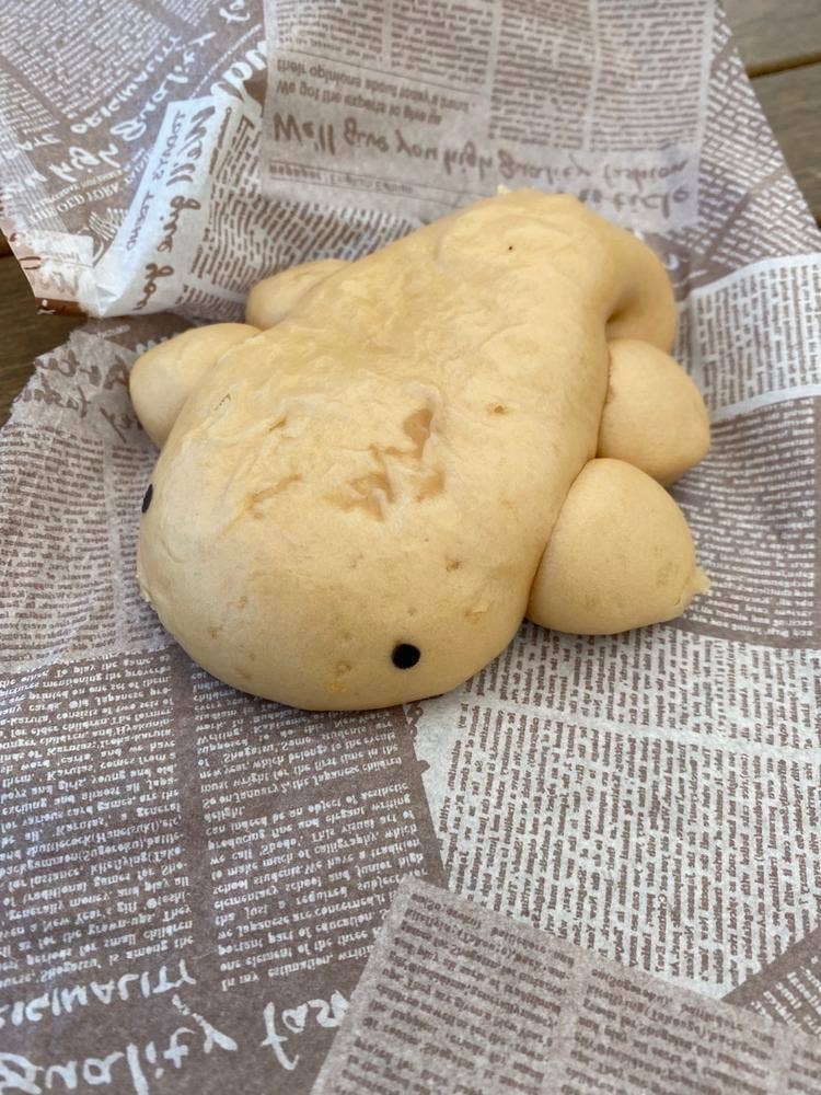かいじゅうカフェ 京都水族館