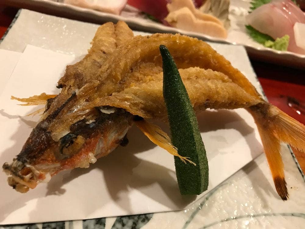 割烹・居酒屋 一龍