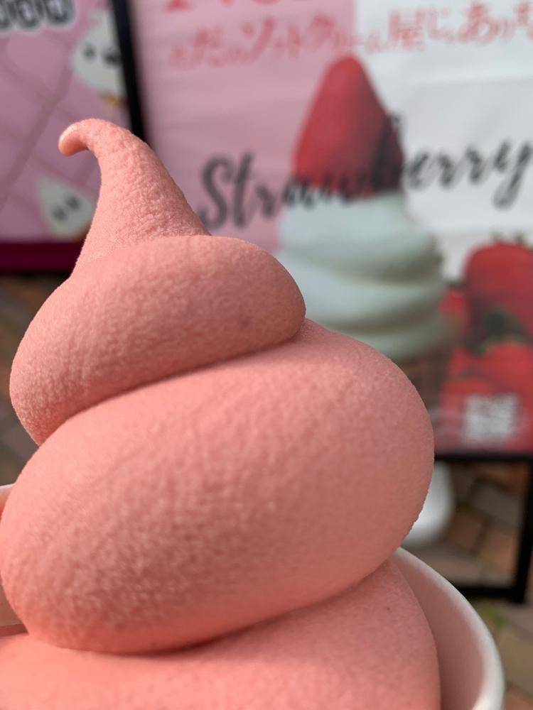 NO NO NO ただのソフトクリーム屋じゃありません