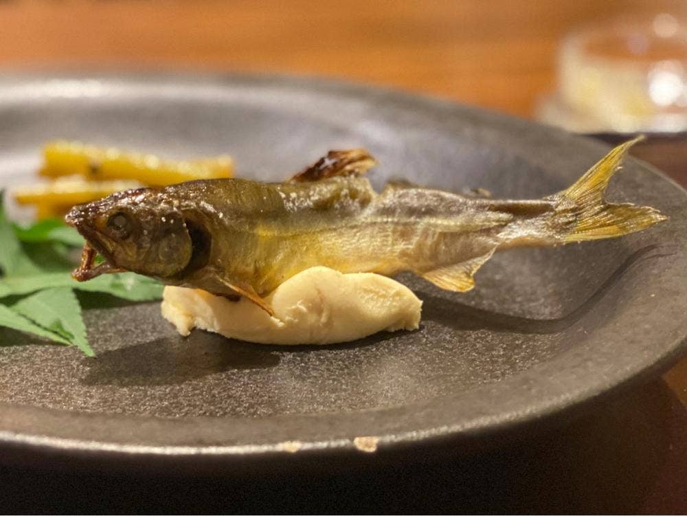Gibier MIYAMA