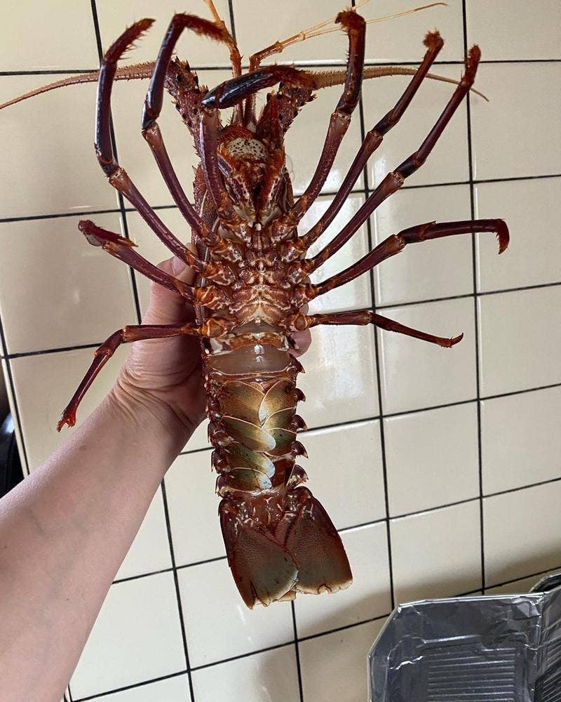 活魚センター 大昌