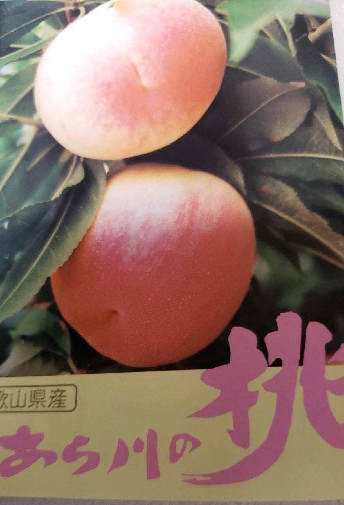 JUICE BAR momo 近鉄百貨店 和歌山店