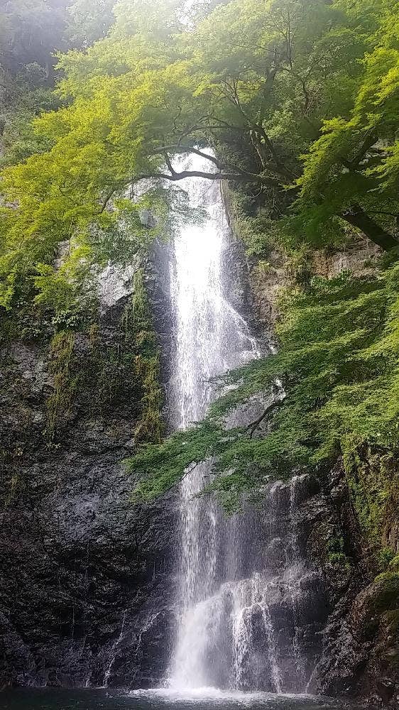 河鹿荘別館ほととぎす