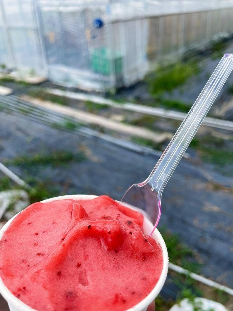 いちご農家のジェラート Goccia