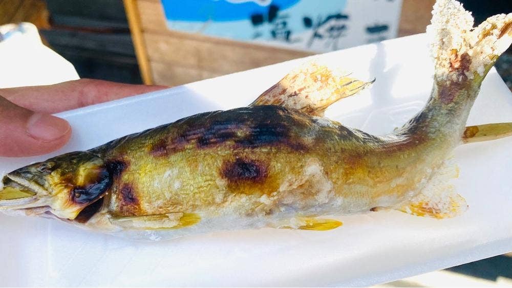 魚昌