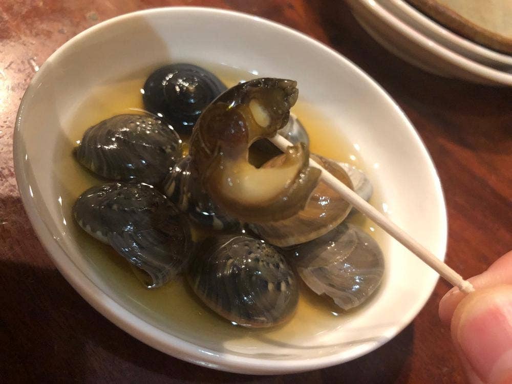 飛八