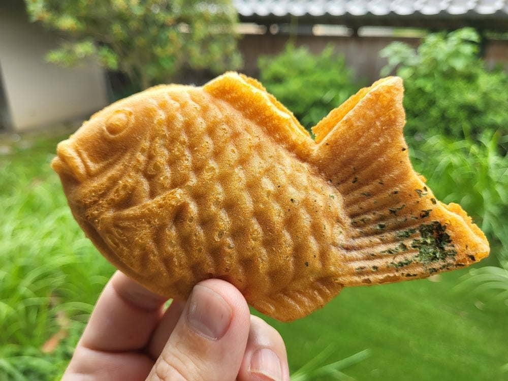たい焼き 鯛濱