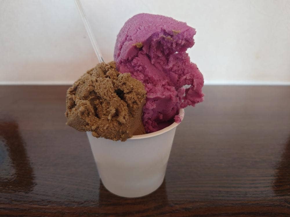 南紀白浜 オリーブ&ジェラート工房