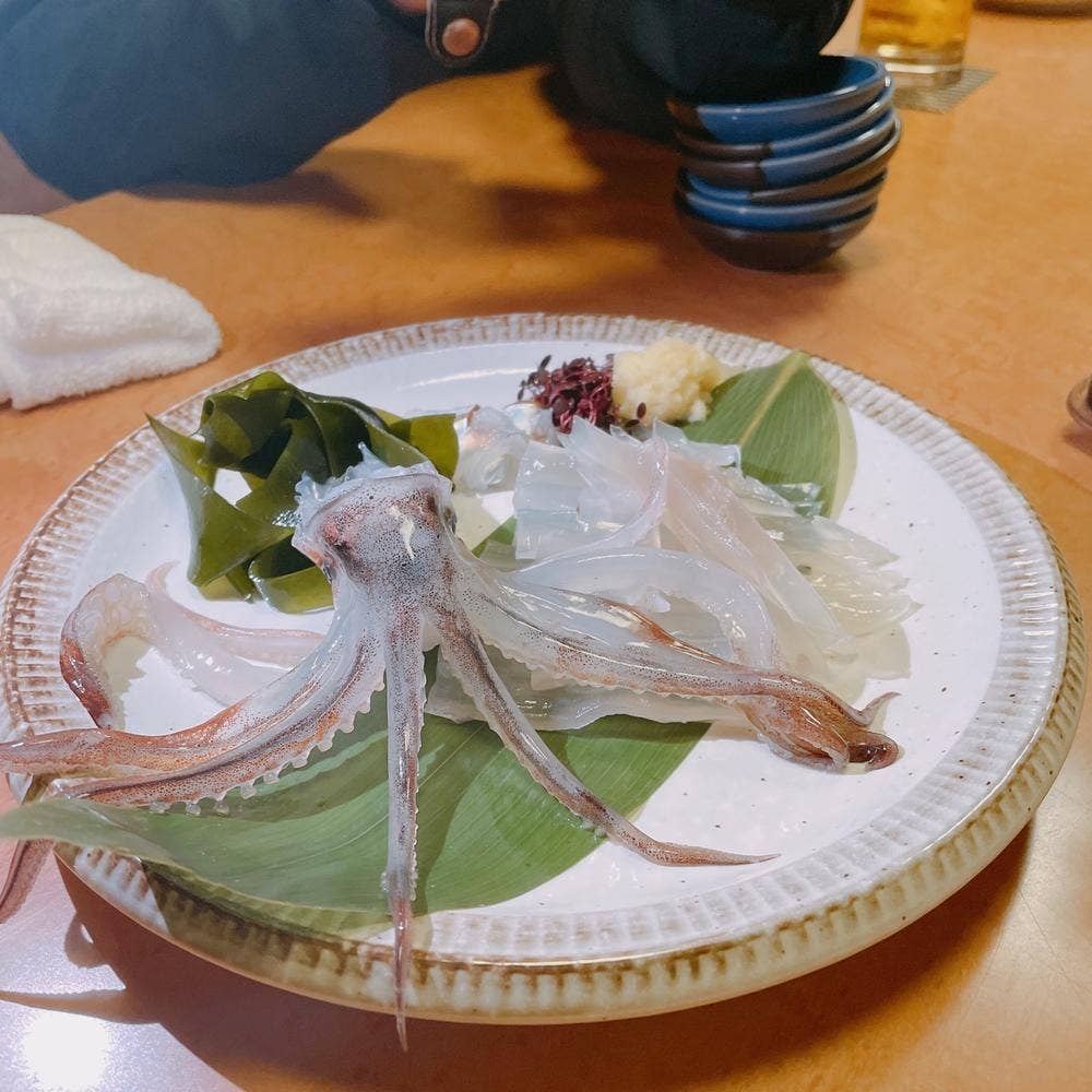 酒庵若やま