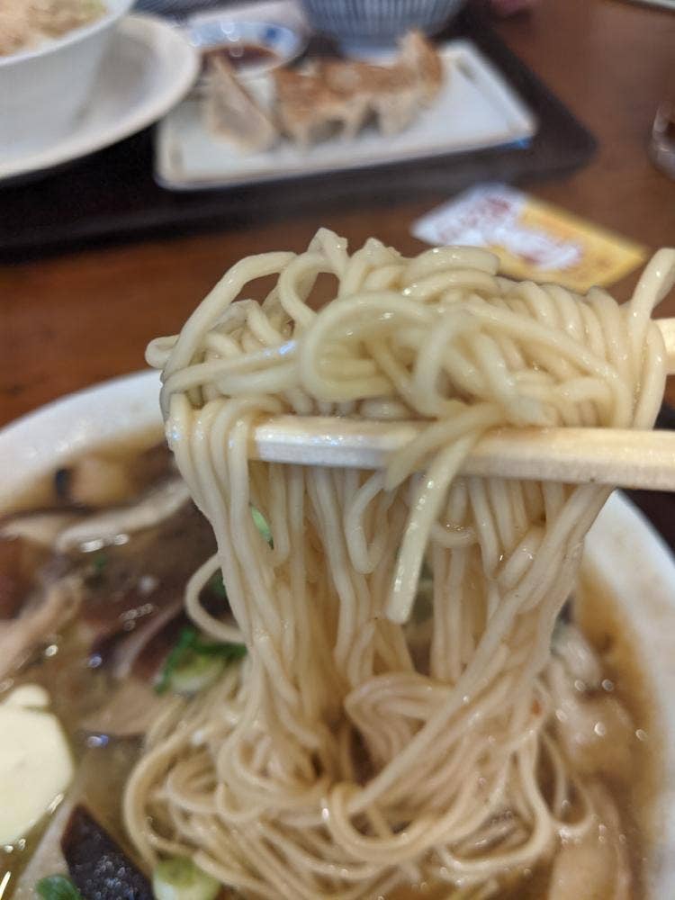 肉菜汁餃子 餃一郎