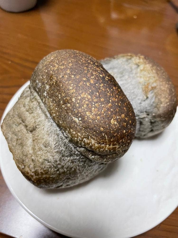 箱根リトリート före cafe&lounge