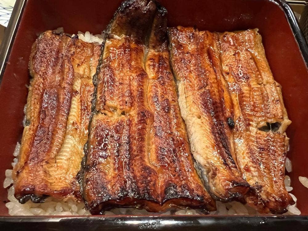 蒲焼 割烹 根ぎし 宮川