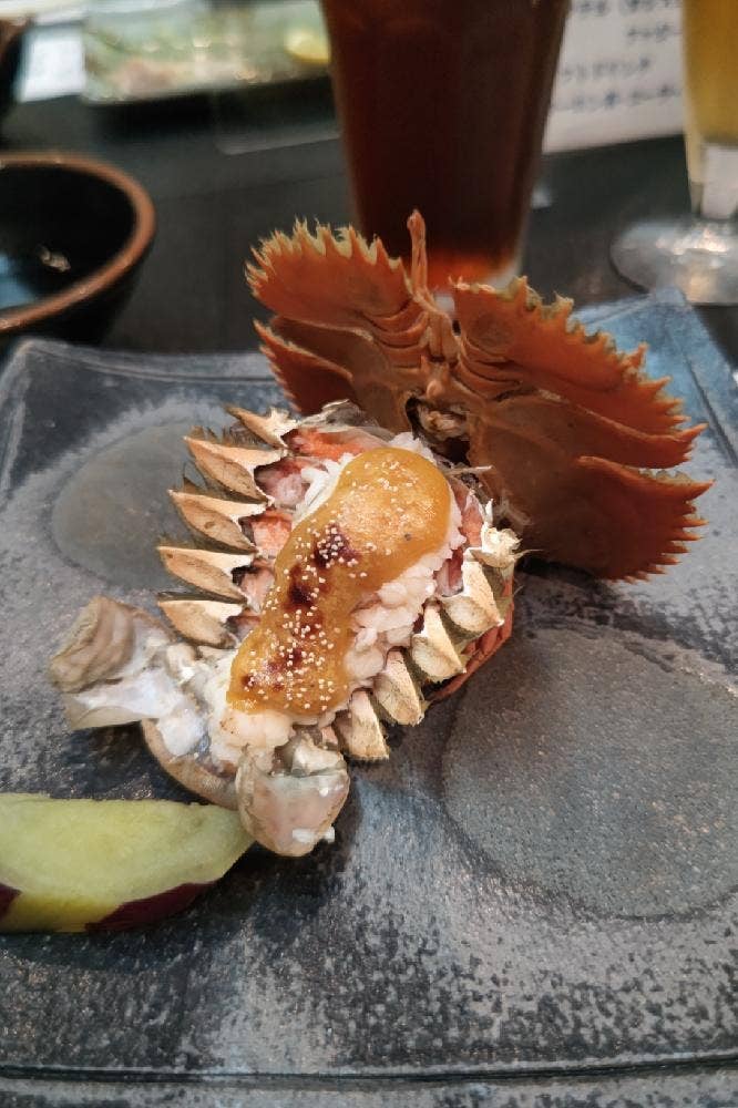 さつま路