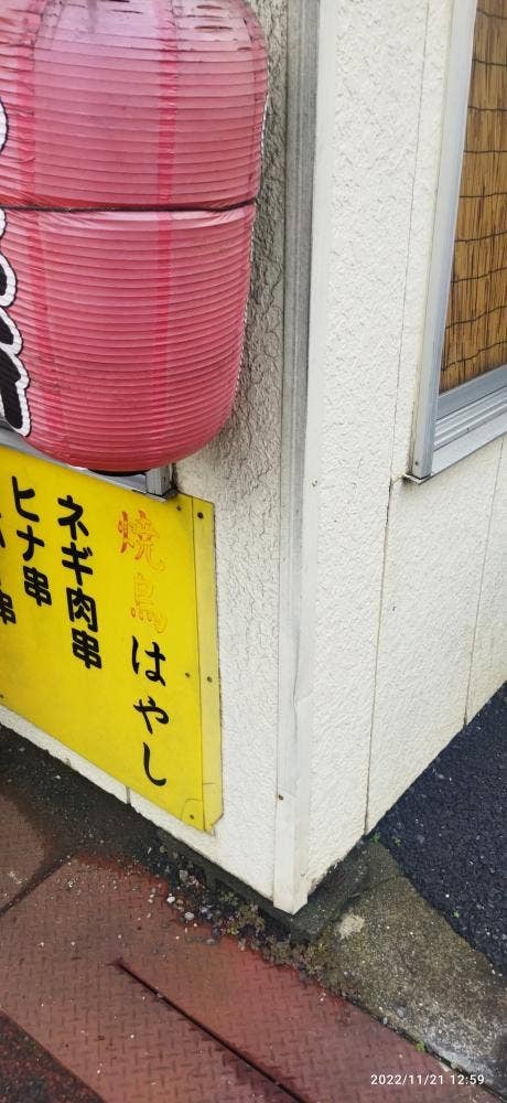 林