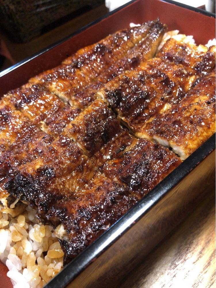 うなぎすっぽん團-DAN-