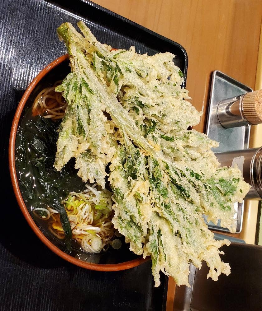 名代 富士そば 三光町店