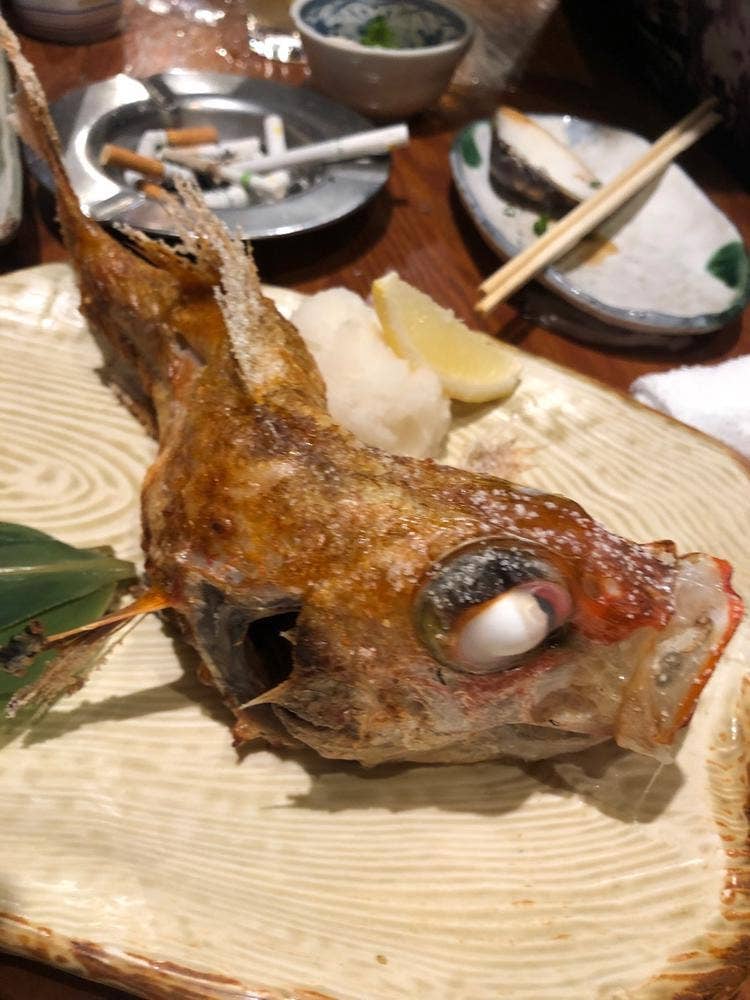 たぬき 新橋本店