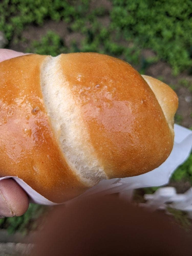 藤ノ木