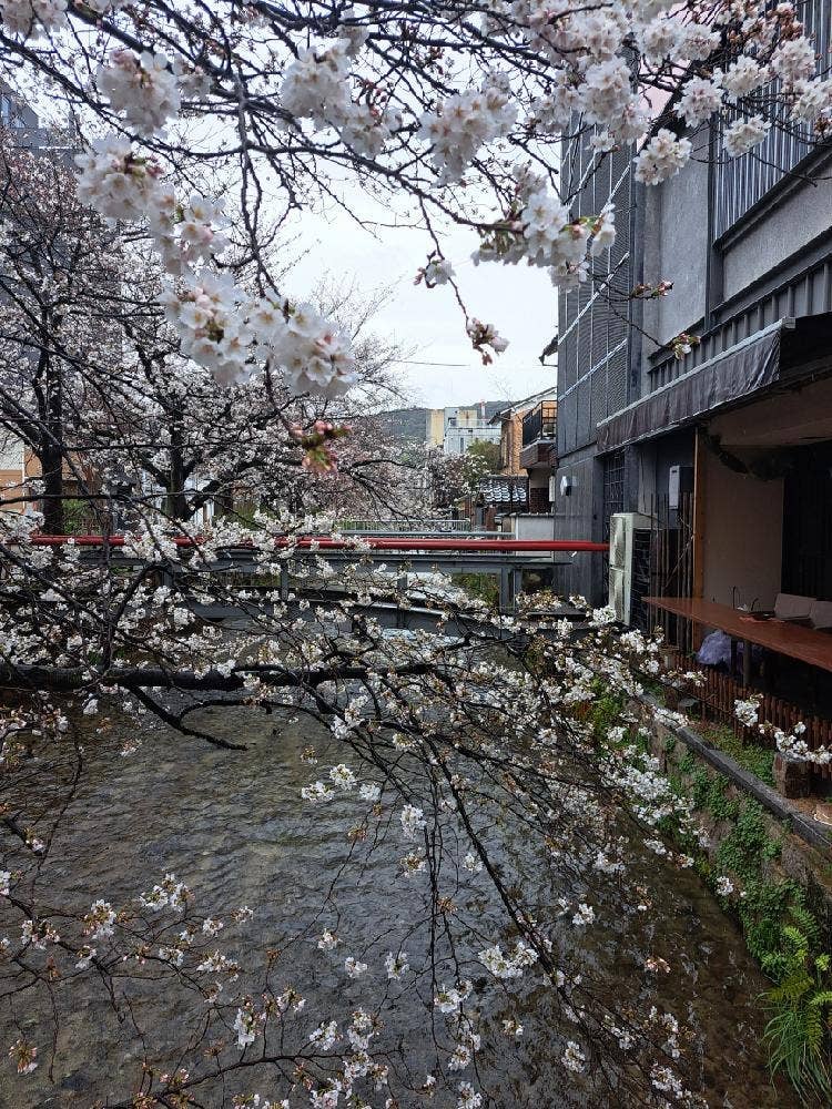 比日氣
