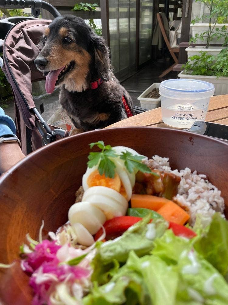 デリカテッセン イーハトーヴ ソラ