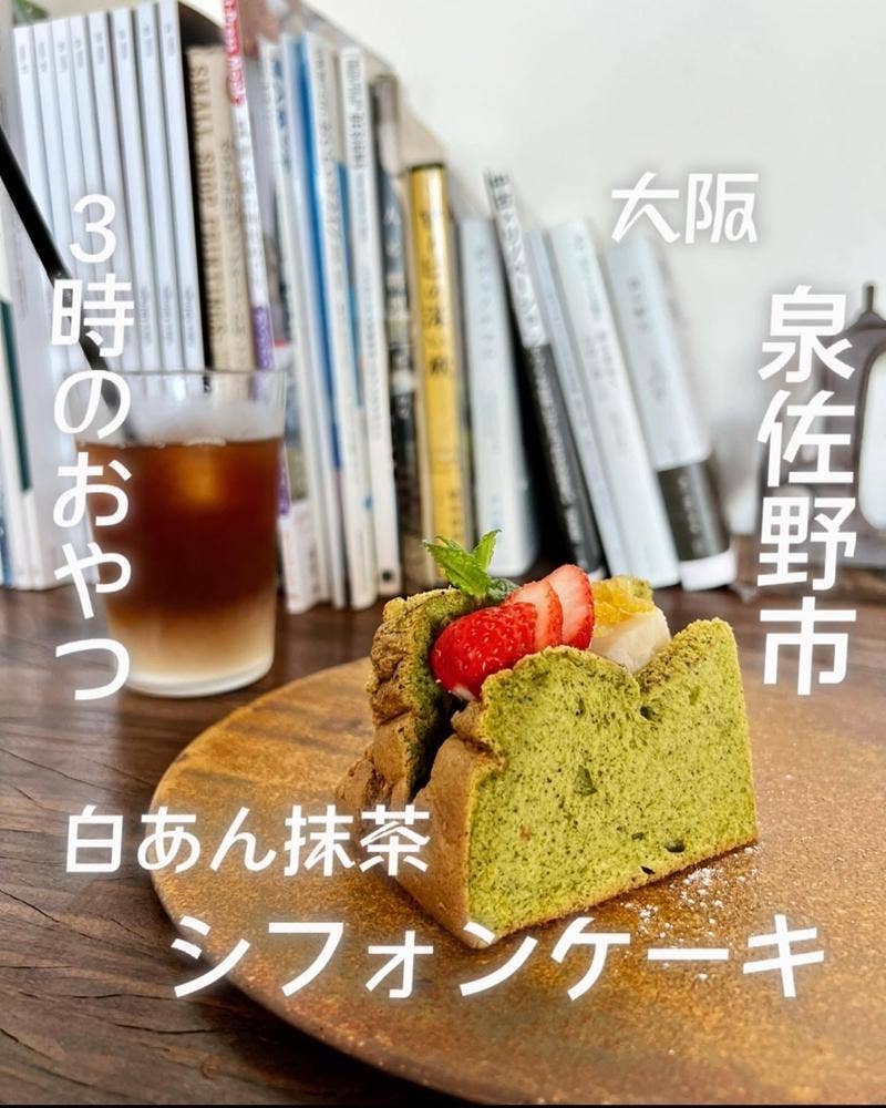 百日草