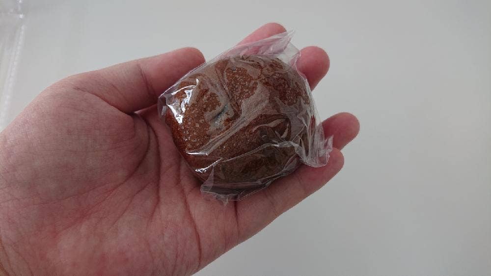 丸高製菓店