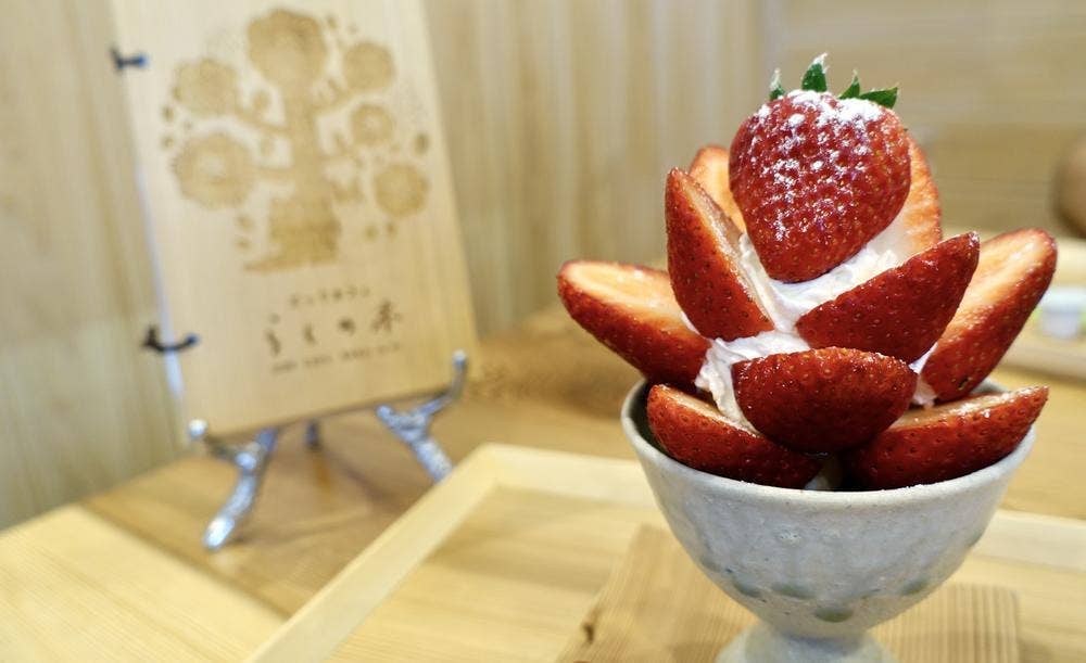 どっぐカフェ らくの木