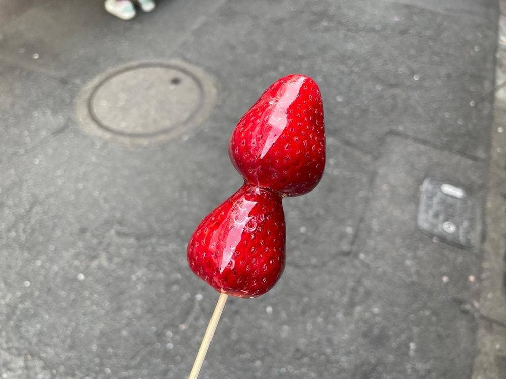 フルーツ 果物王国