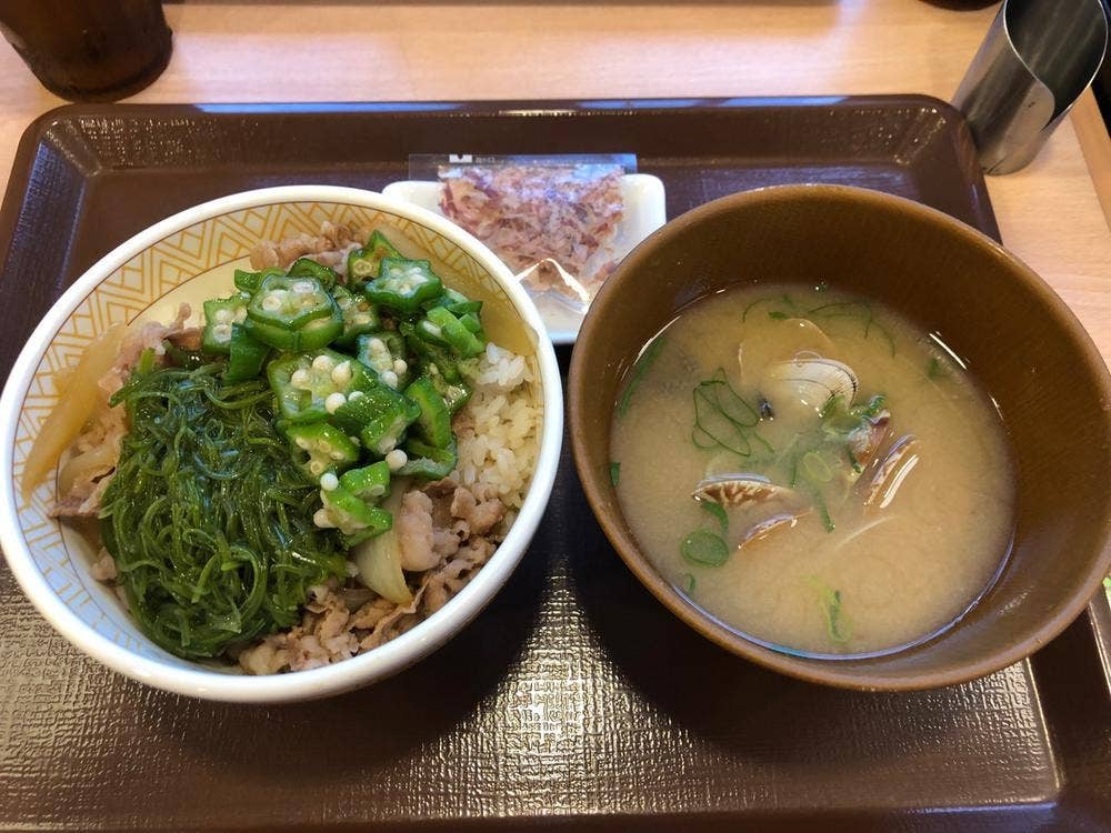 すき家 石狩花川店