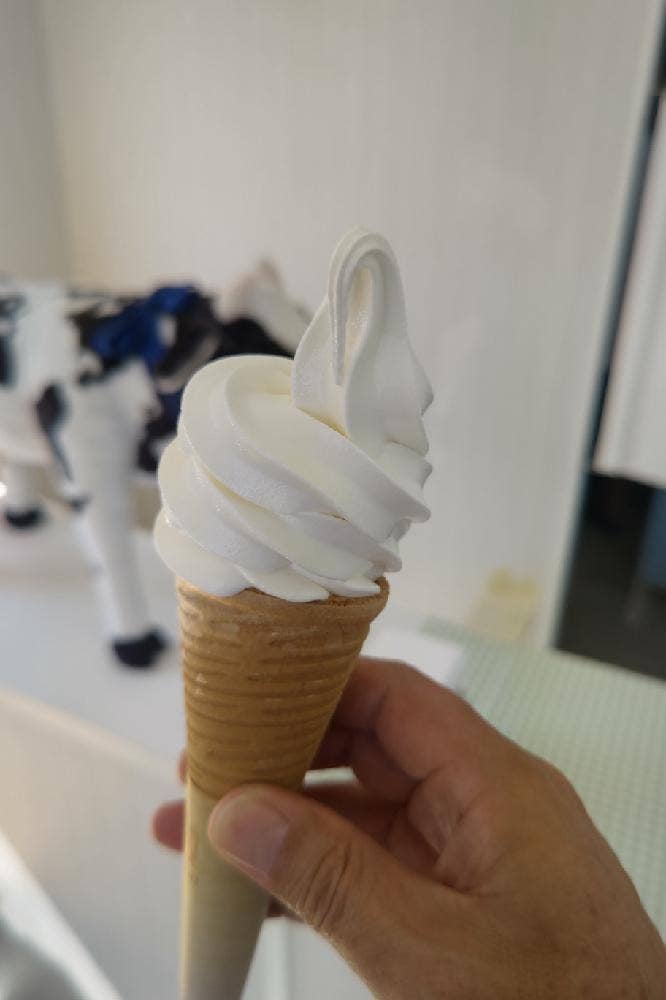 オーケー乳業のソフトクリーム