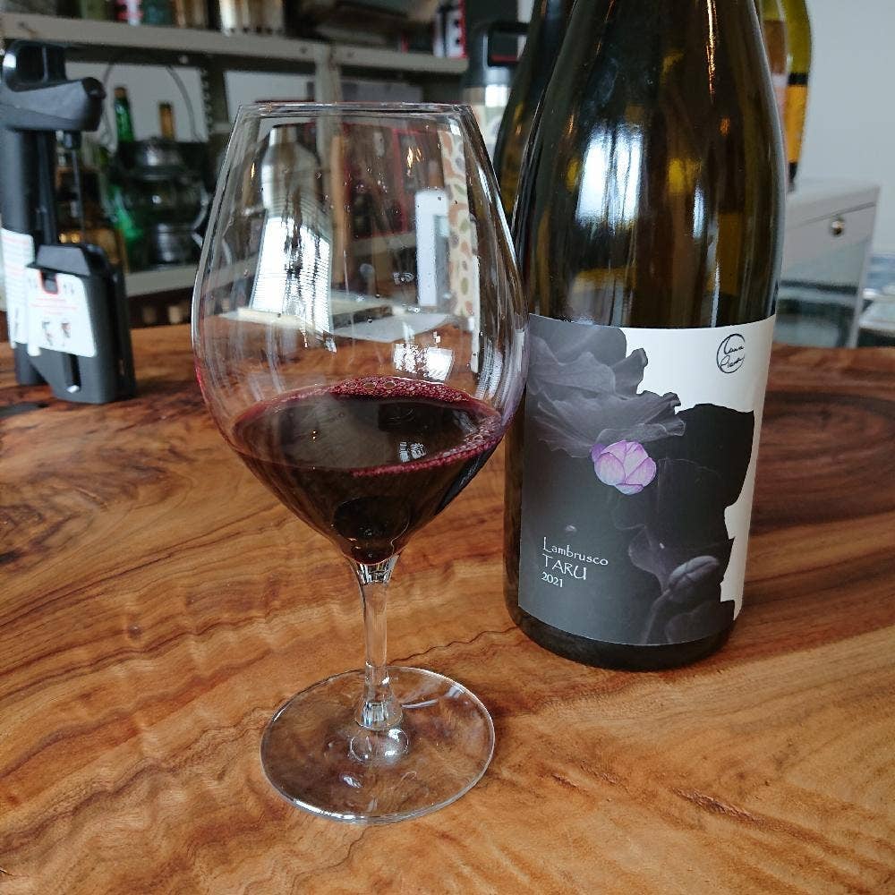 Cave de la foret CAMPWINe