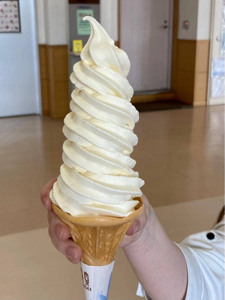 道の駅 コスモール大樹