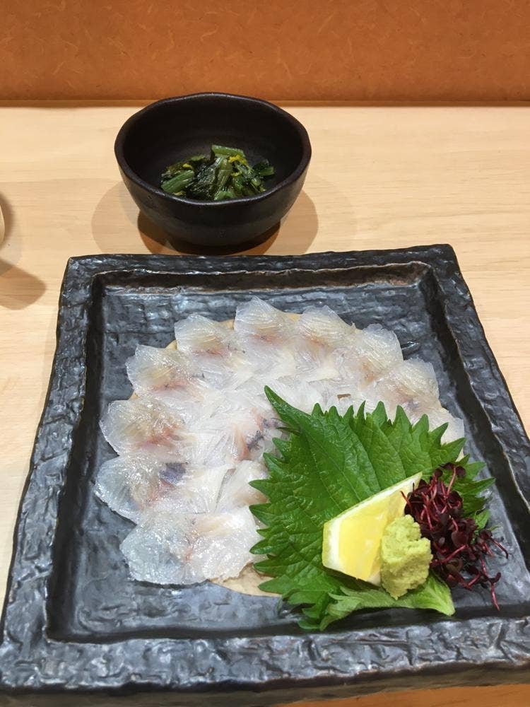 鰻樹