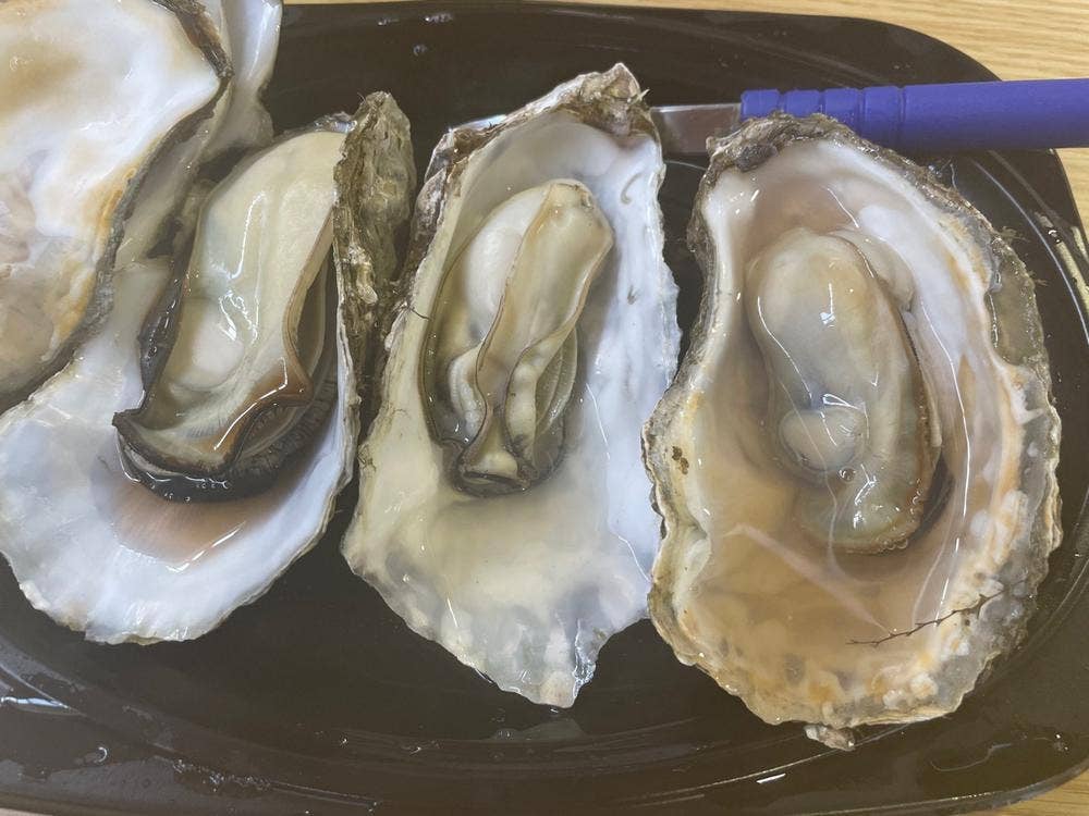 厚岸漁業協同組合直売店