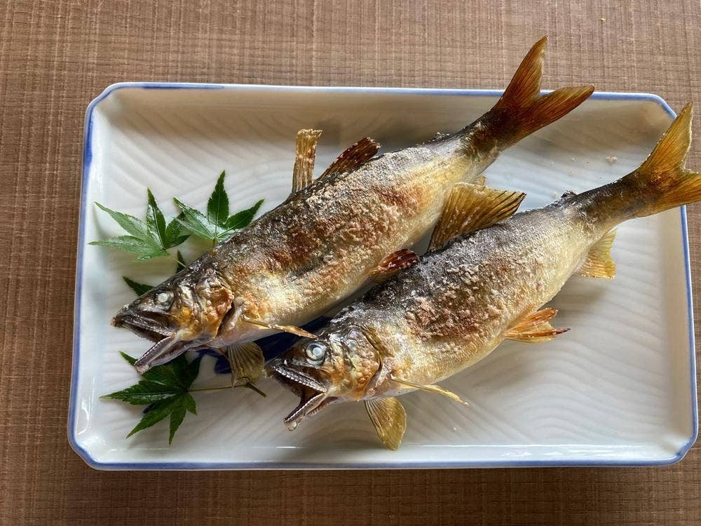 荒川森田城やな