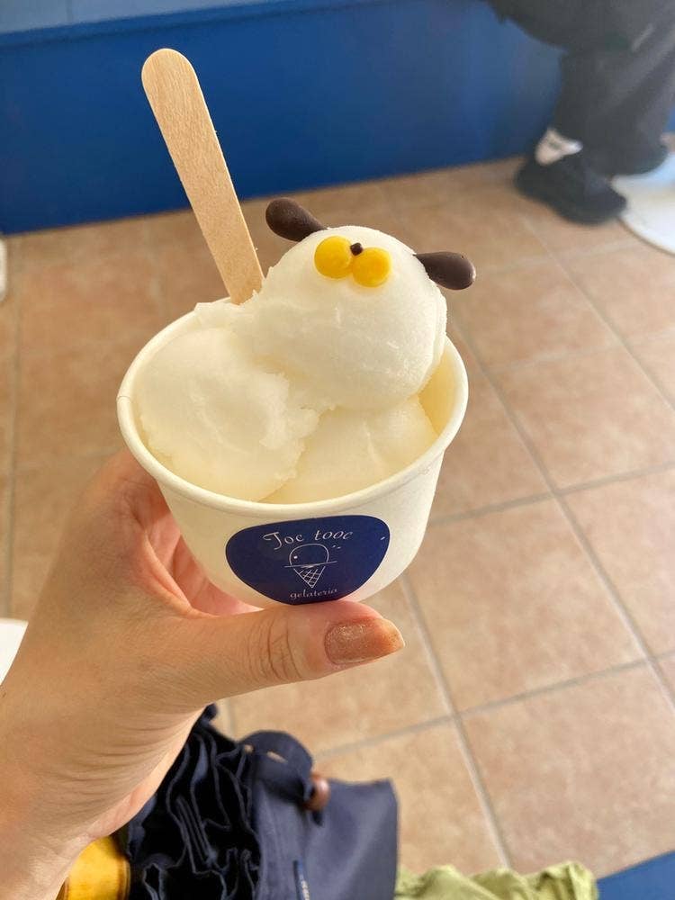 gelateria Toc tooc 鎌倉店