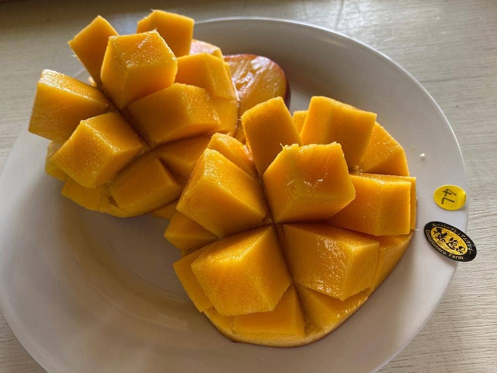 ユートピアファーム宮古島