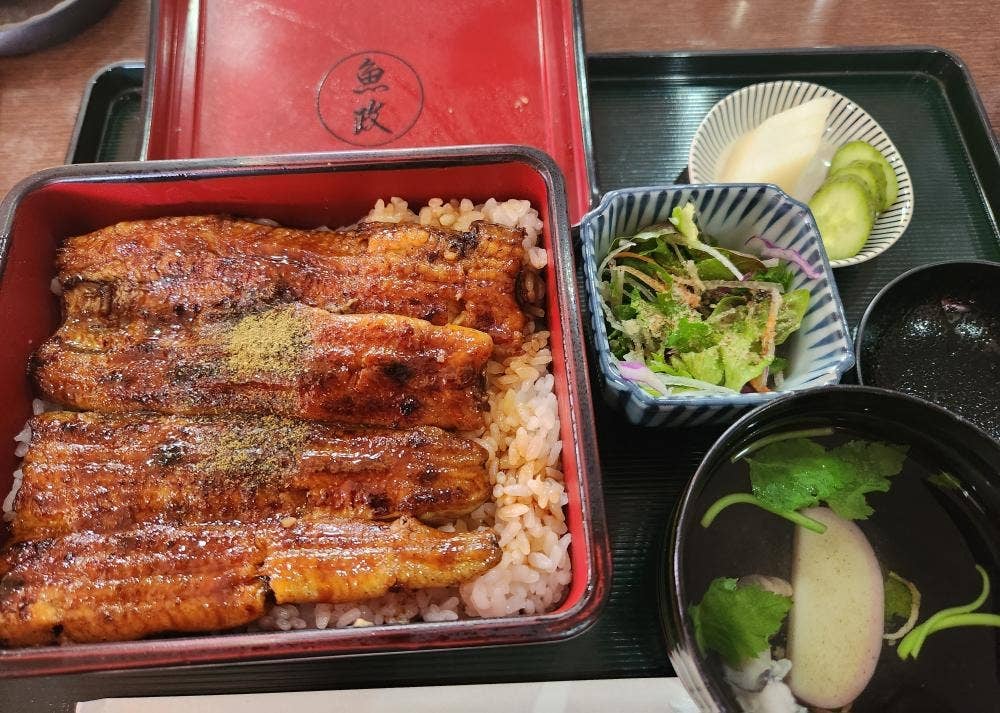魚政