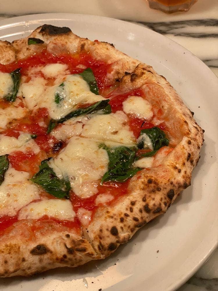 SAVOY とまととちーず