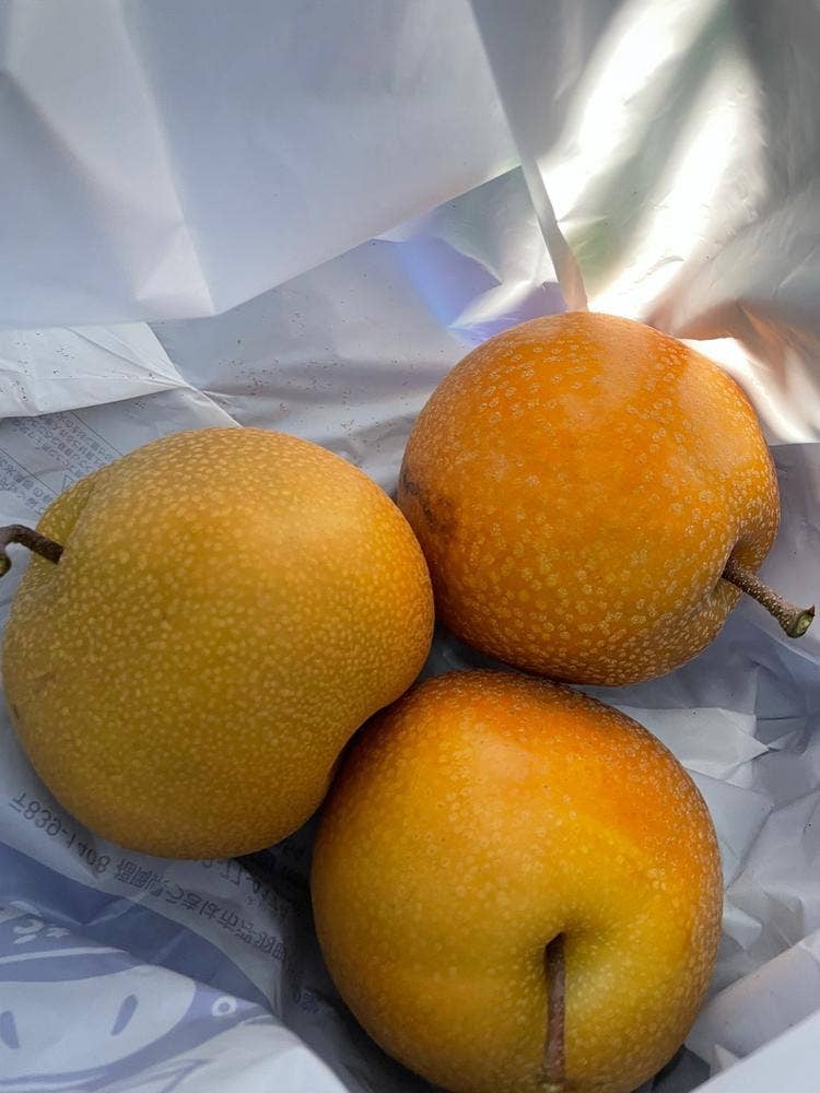 うきは果樹の村 やまんどん