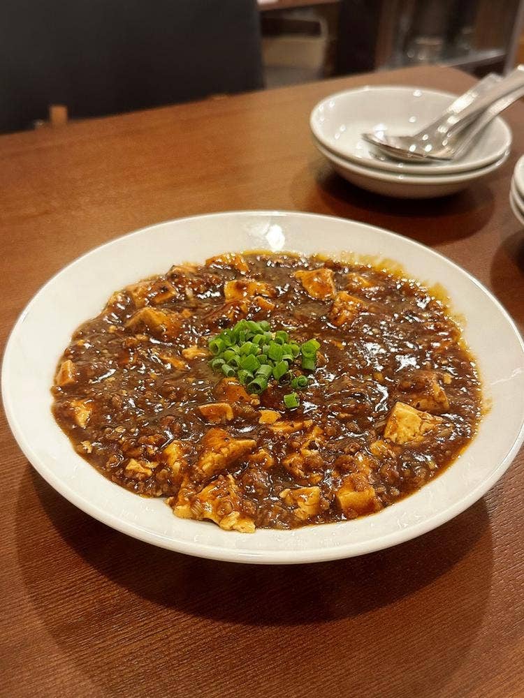 中華料理 照