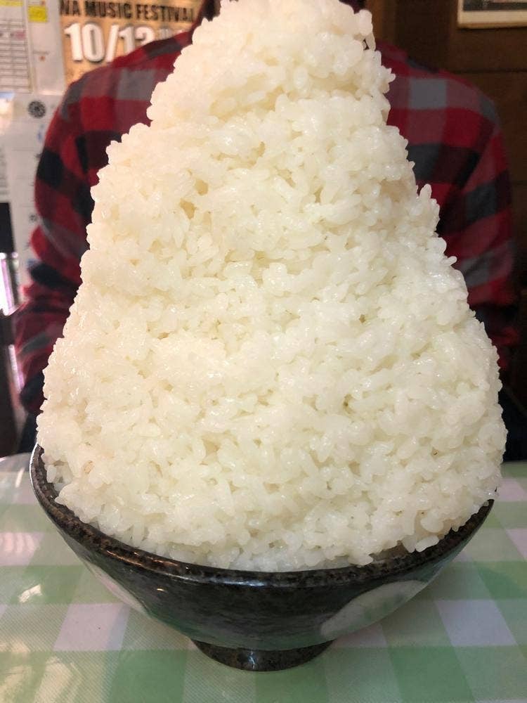 おおもりめし こふじ