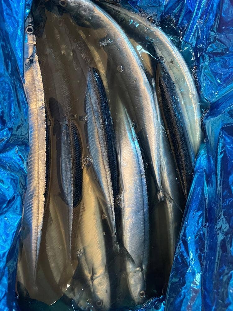 最北の海鮮市場 お取寄せ
