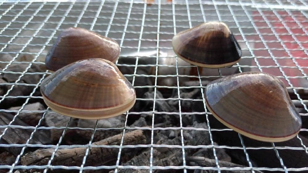 築地魚河岸 浜焼きBBQテラス